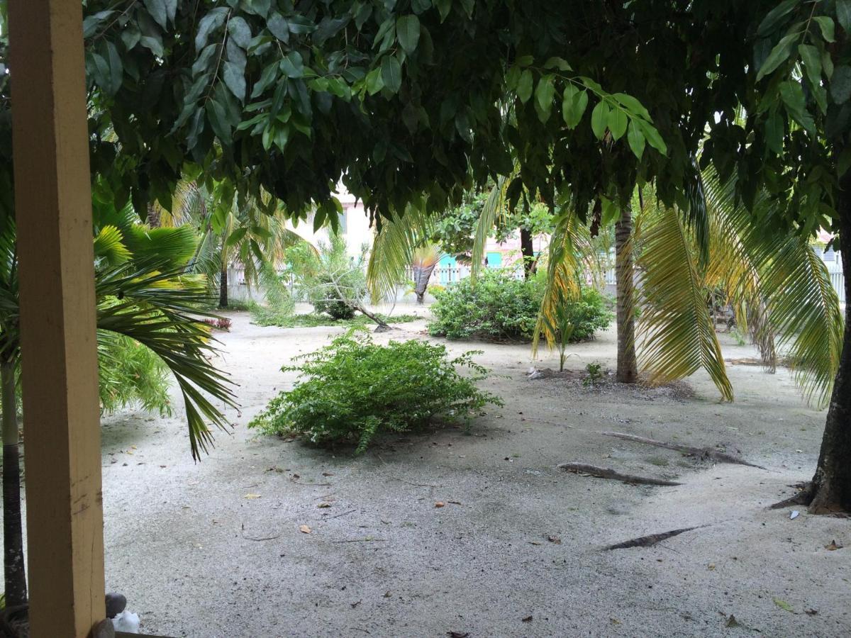 Jaguar Morning Star Caye Caulker Quarto foto
